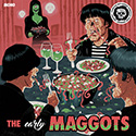 Maggots