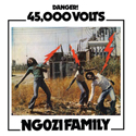 Ngozi Family